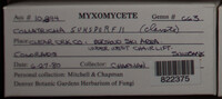 Image Associated With the Occurence